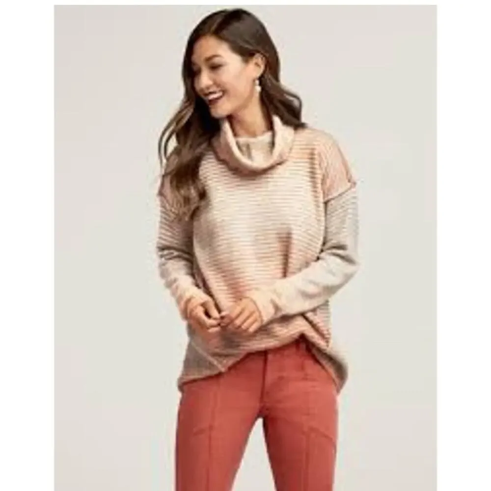 CABI 4105 Ombré Striped Knit Turtleneck Tunic Length Sweater Women’s Size Small